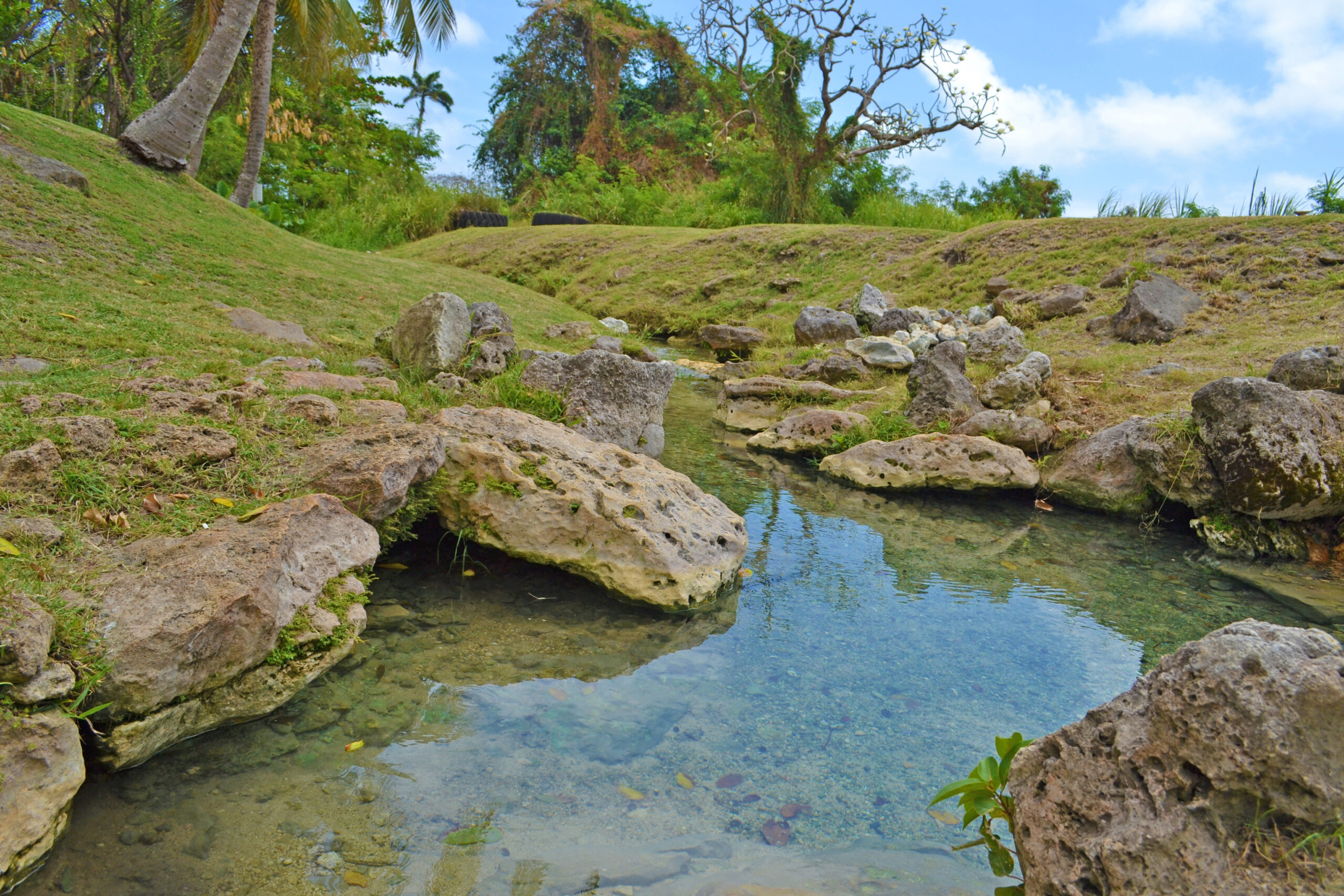 Shaded tropical spring and park