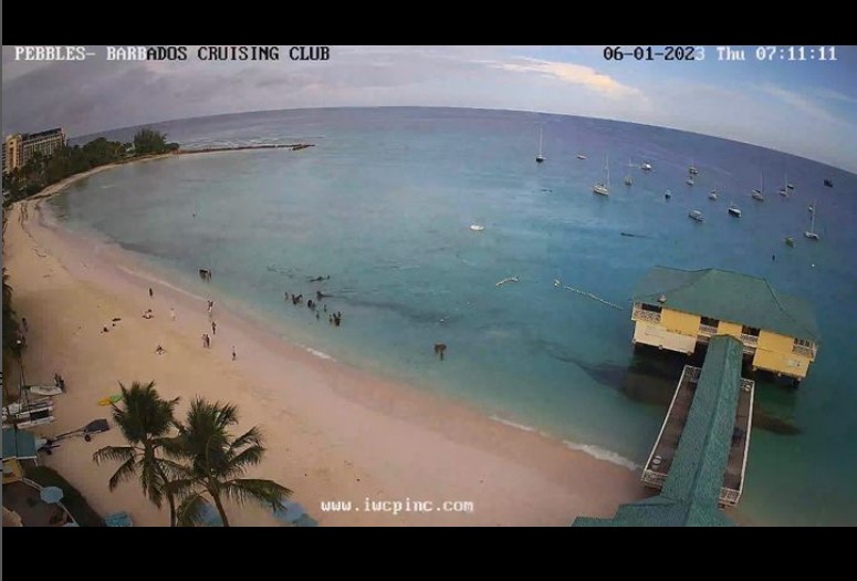 Barbados Live Web Cams 